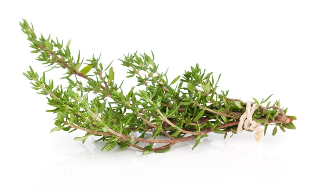 thyme substitute health benefits