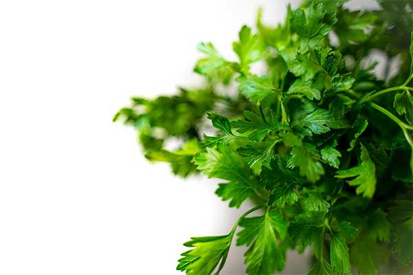 How to Dry Herbs - Parsley, Oregano, Chives, Lovage and more