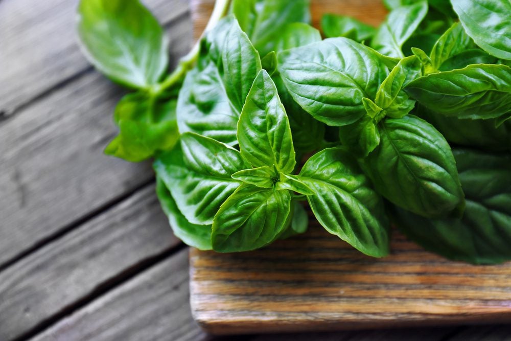 How To Dry Basil In The Oven The Kitchen Community