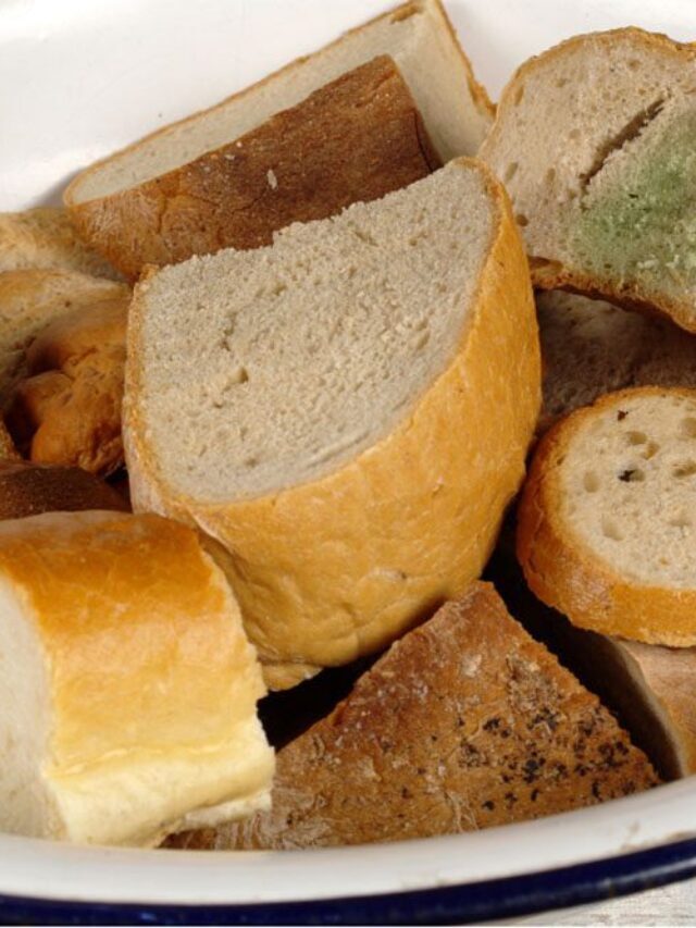 Easy & Delicious Stale Bread Recipes to Use It Up
