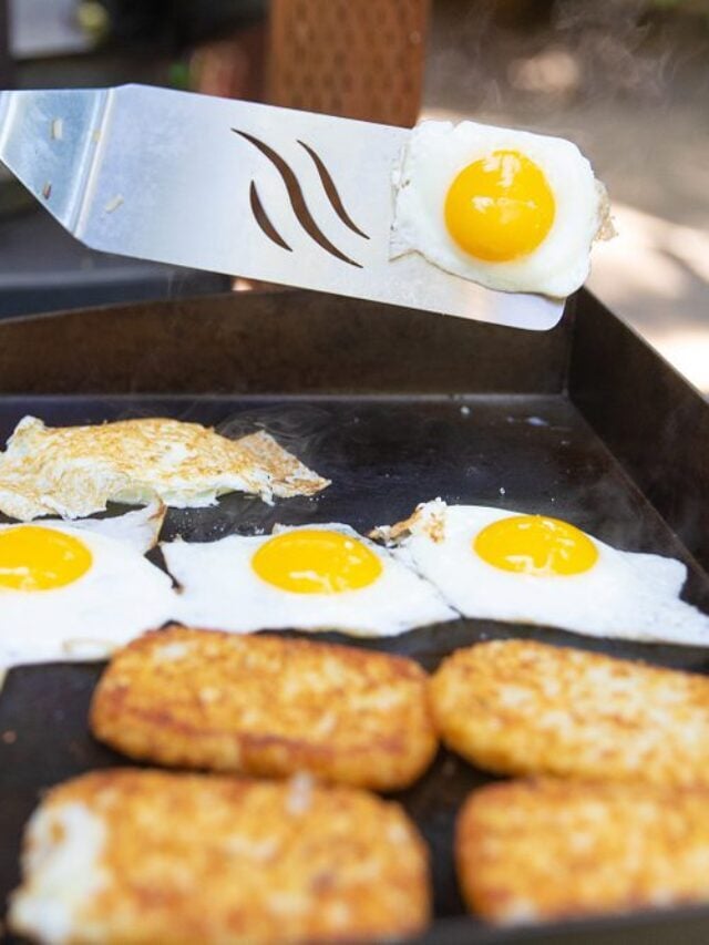 17+ Best Griddle Recipes The Kitchen Community