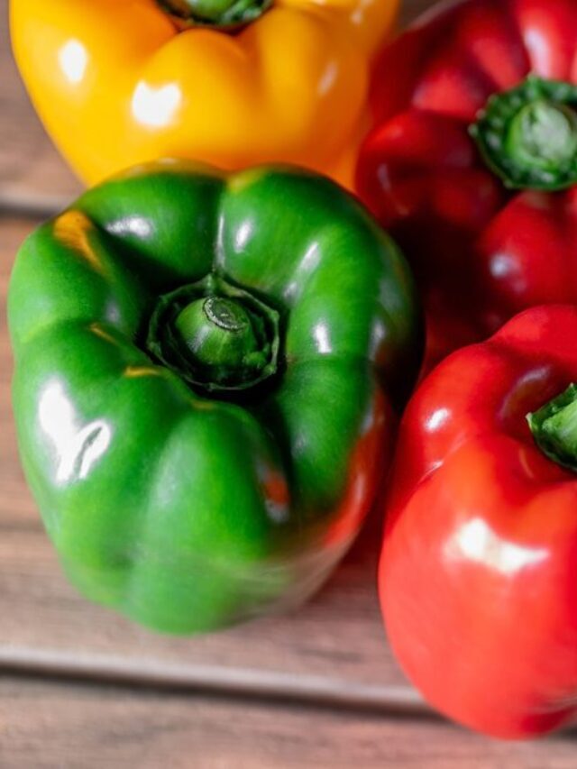 Delicious Bell Pepper Recipes