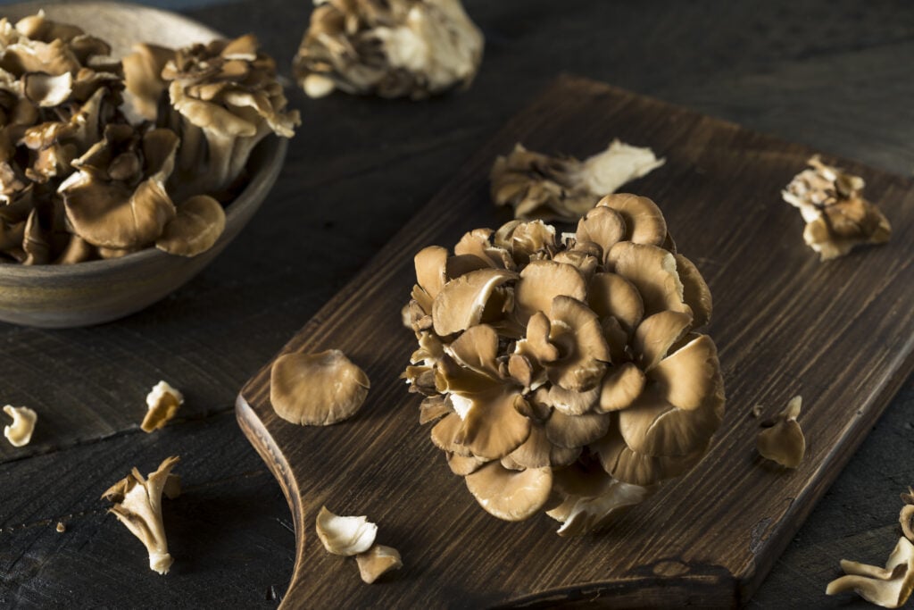 Hen of the Woods Mushrooms (+Recipes)