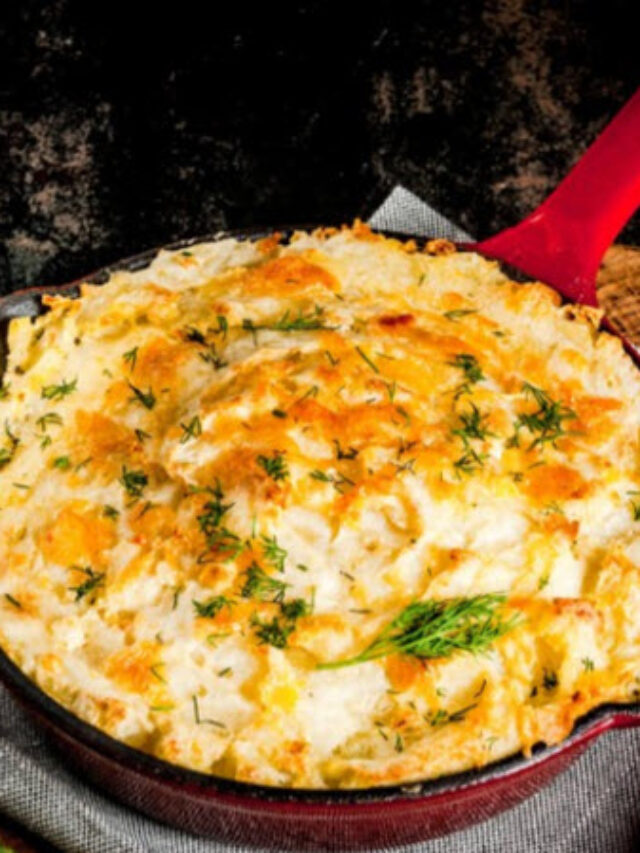 Best Campbell Soup Recipes