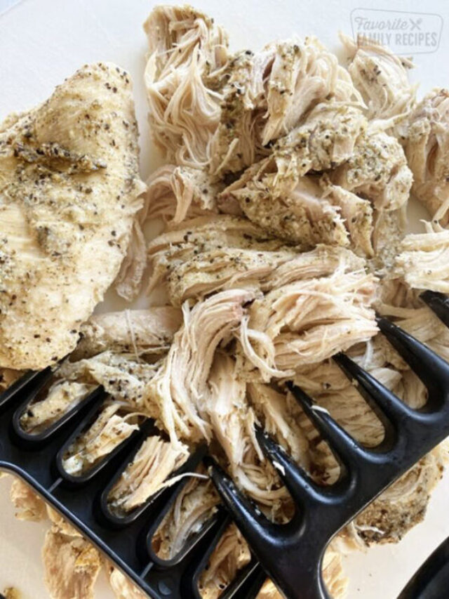 20+ Quick, Easy, and Delicious Shredded Chicken Recipes