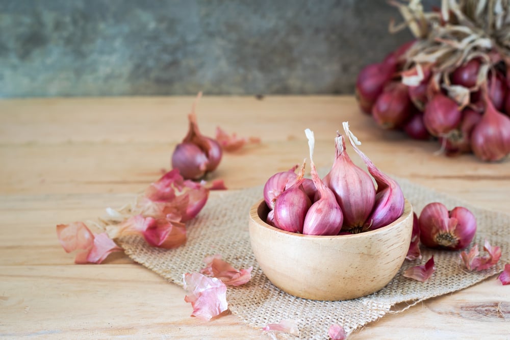 The difference between shallots, green onions, scallions and