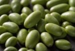 Fava Beans vs. Lima Beans - The Kitchen Community